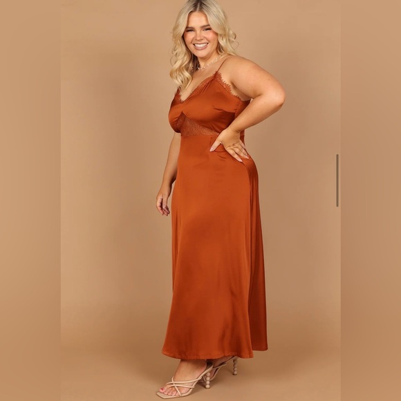 Petal & Pup / Ariel Dress - Rust
Satin Sheen Feel Lace Midi Dress - Picture 14 of 16